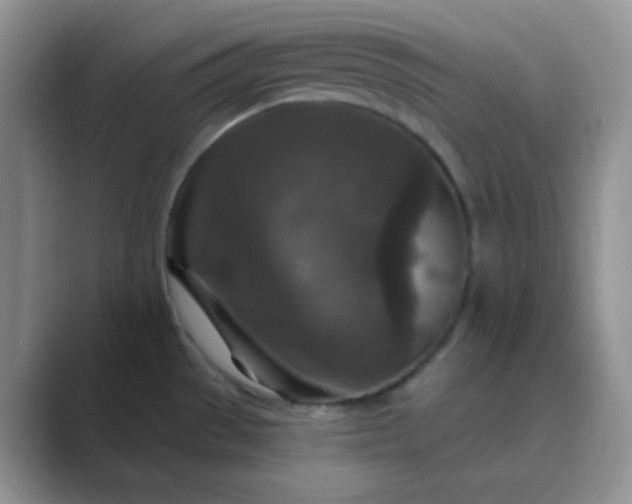 X0000089701529200707051634