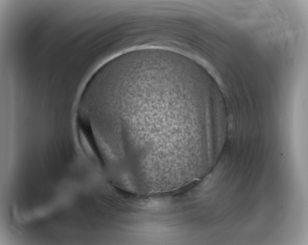 X0000089701530200707051634