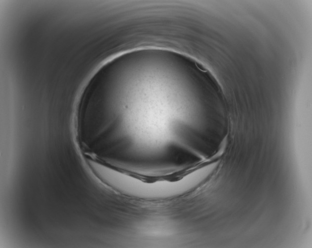 X0000089701531200707051634