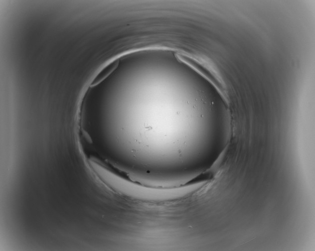 X0000089701532200707051634