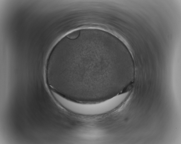 X0000089701533200707051634