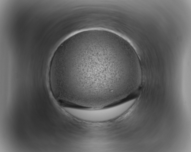 X0000089701534200707051634