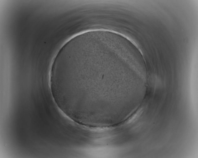 X0000089701535200707051634