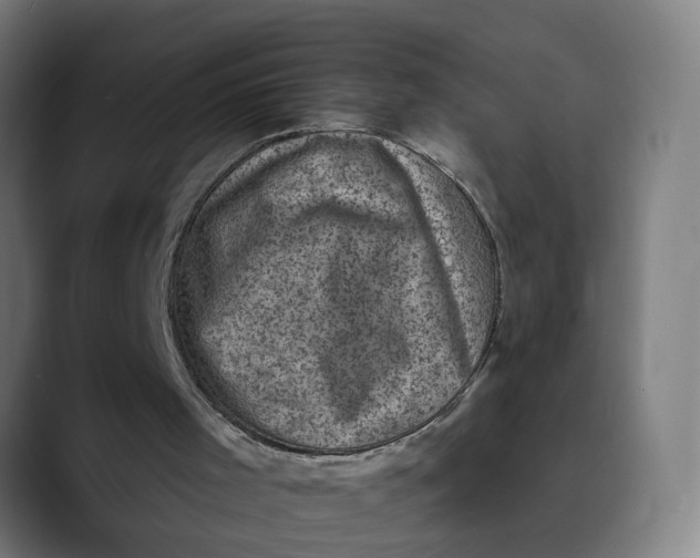 X0000089700001200707121403