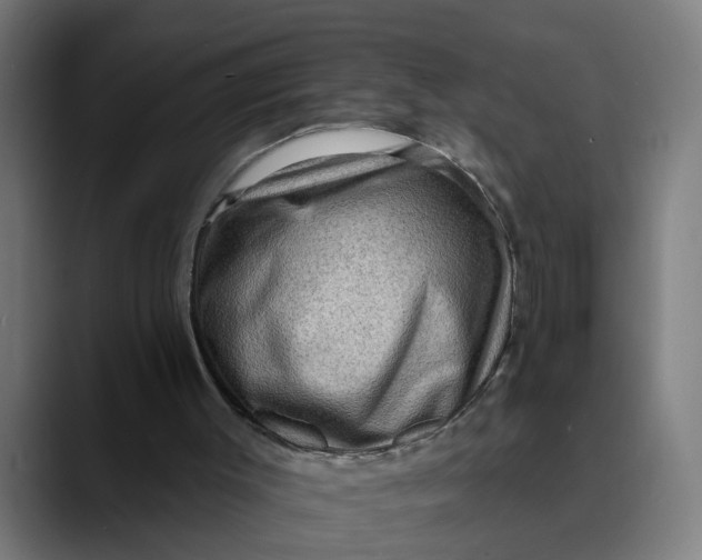 X0000089700003200707121402