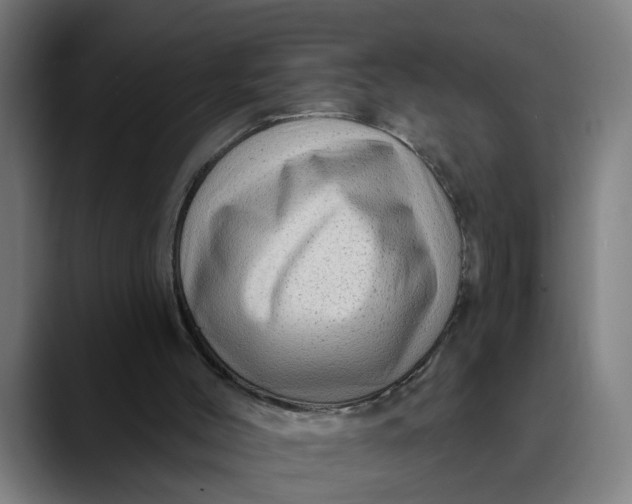 X0000089700004200707121402