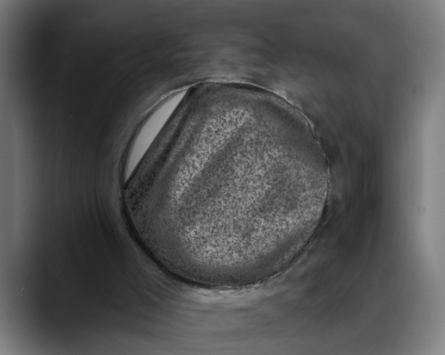 X0000089700005200707121402