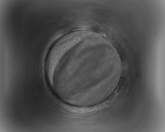 X0000089700006200707121402