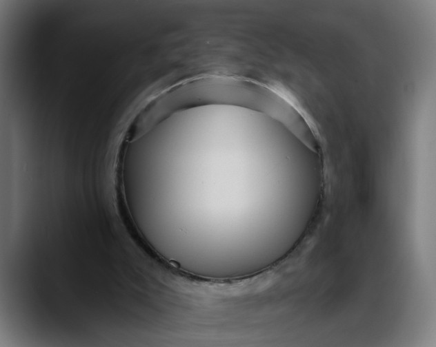 X0000089700007200707121402