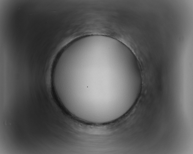 X0000089700008200707121402