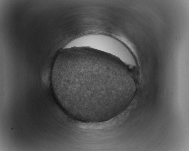 X0000089700009200707121402