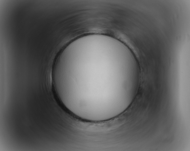 X0000089700011200707121402