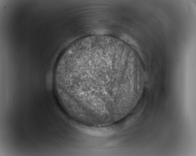 X0000089700012200707121402