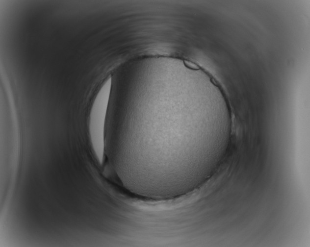 X0000089700013200707121402