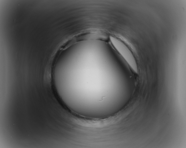 X0000089700015200707121402