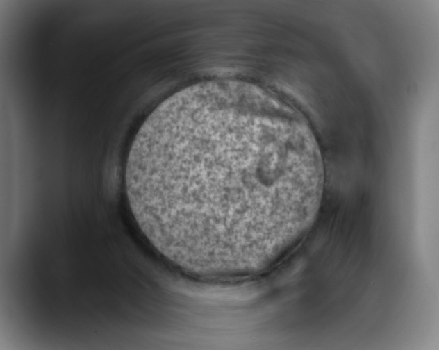 X0000089700016200707121402