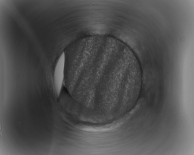 X0000089700017200707121402