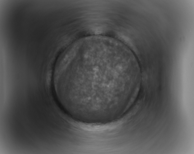 X0000089700018200707121402