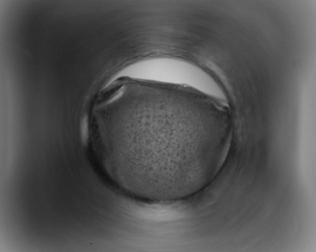 X0000089700020200707121402