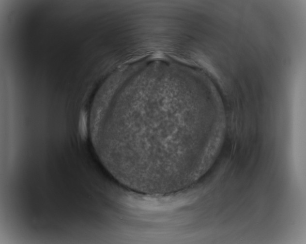 X0000089700022200707121402