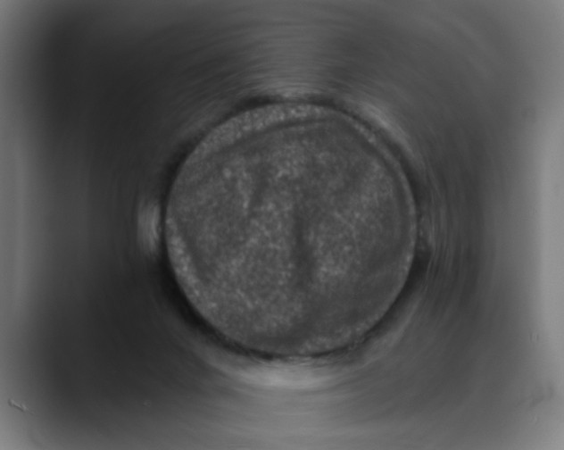 X0000089700024200707121402