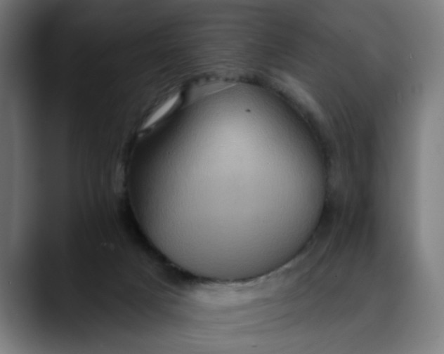 X0000089700025200707121402