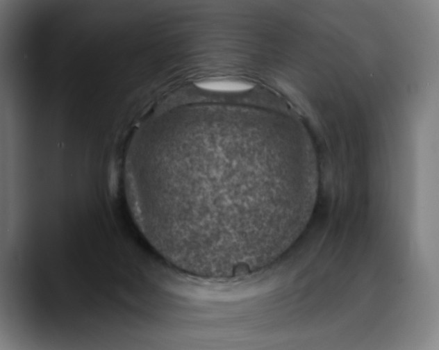 X0000089700026200707121402