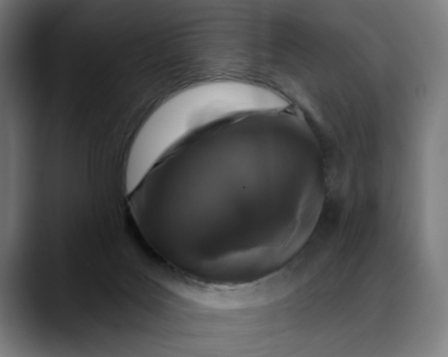 X0000089700027200707121402