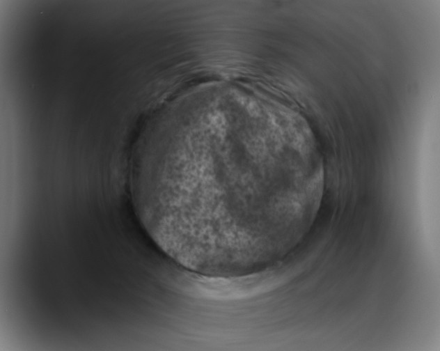 X0000089700030200707121402