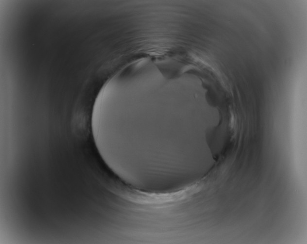 X0000089700031200707121402