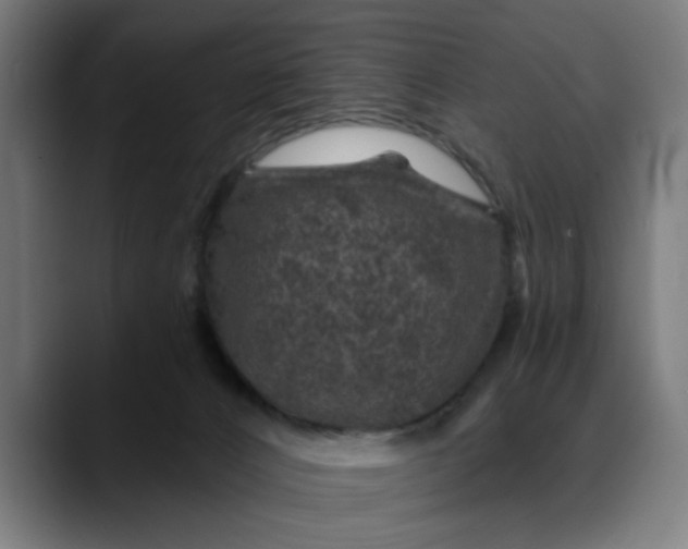 X0000089700032200707121402