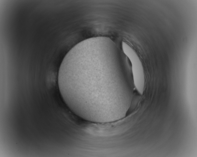 X0000089700033200707121402