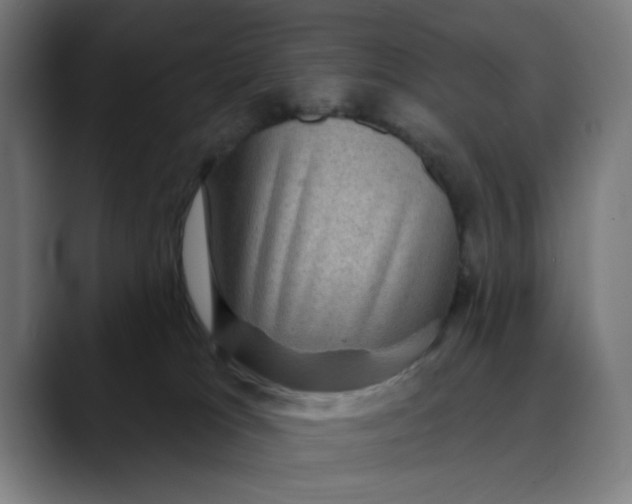 X0000089700037200707121402