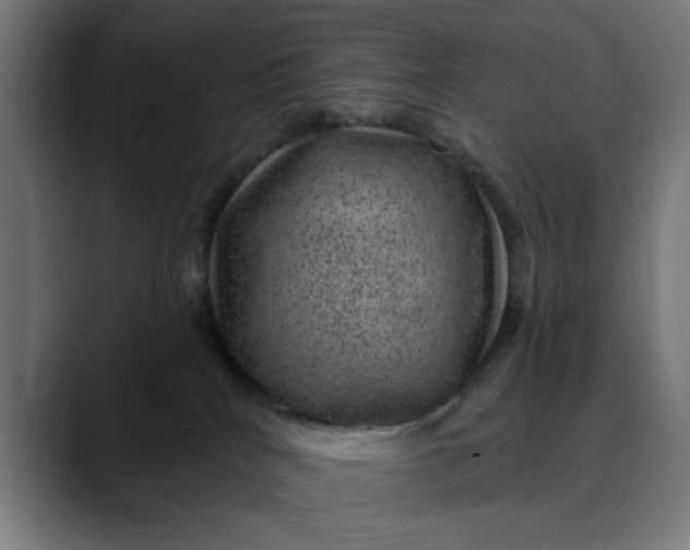 X0000089700040200707121402