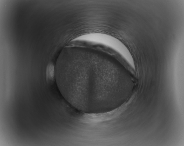 X0000089700041200707121402