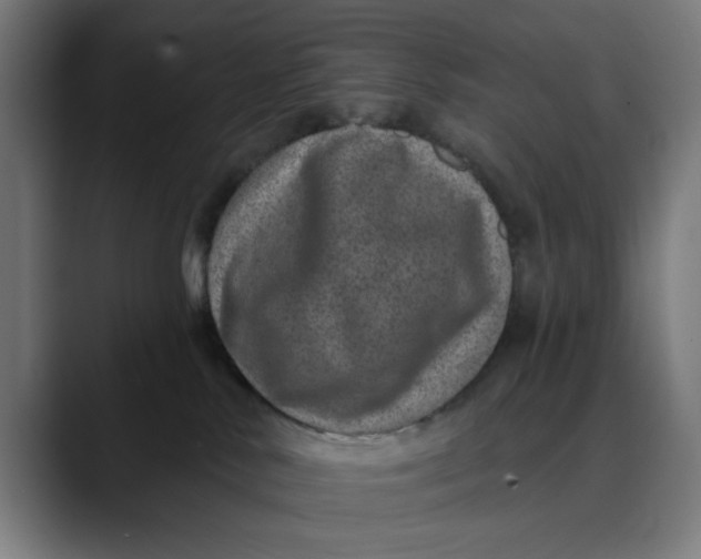 X0000089700042200707121402