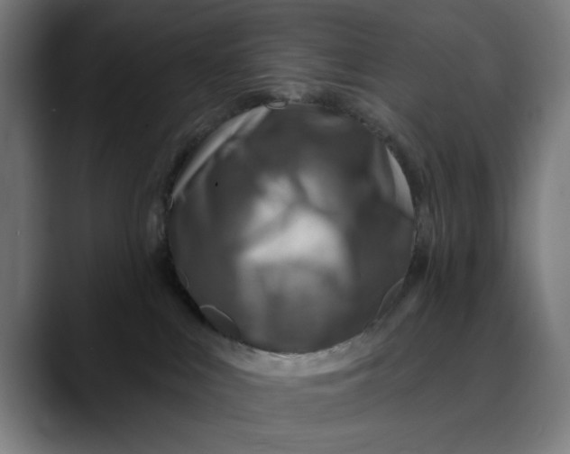 X0000089700043200707121402