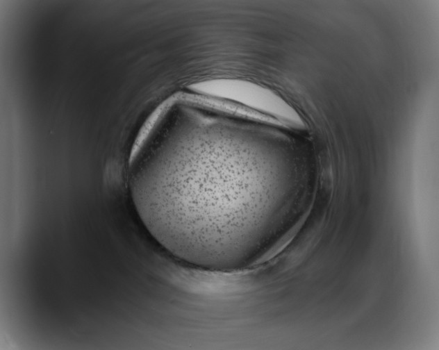 X0000089700044200707121402