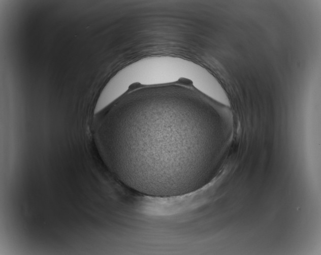 X0000089700045200707121402