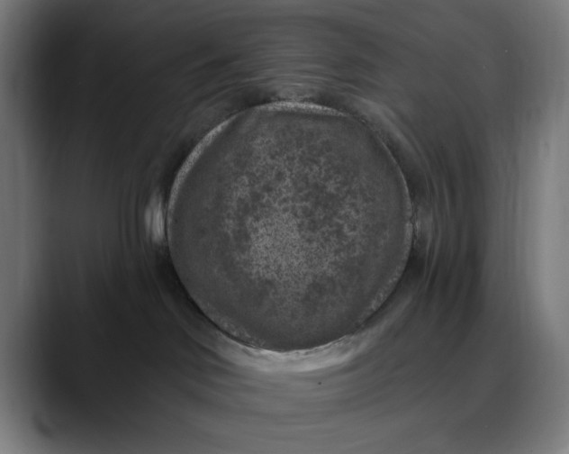 X0000089700046200707121402