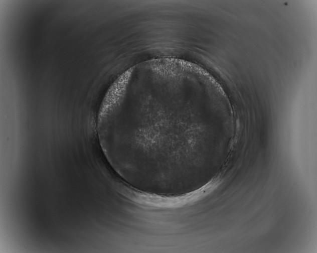 X0000089700048200707121402