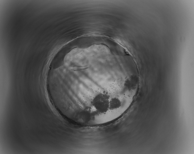 X0000089700049200707121401