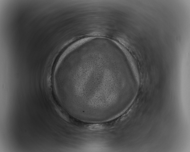 X0000089700050200707121401