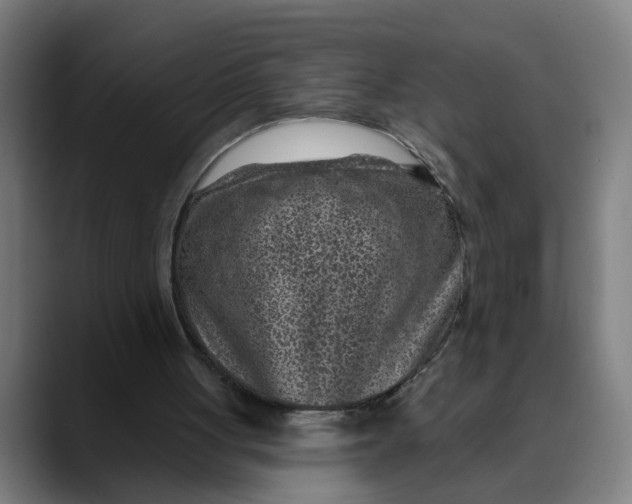 X0000089700051200707121401