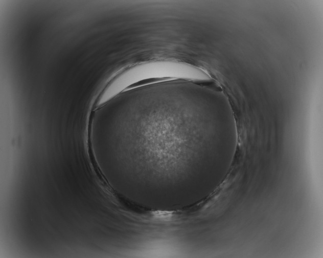 X0000089700052200707121401