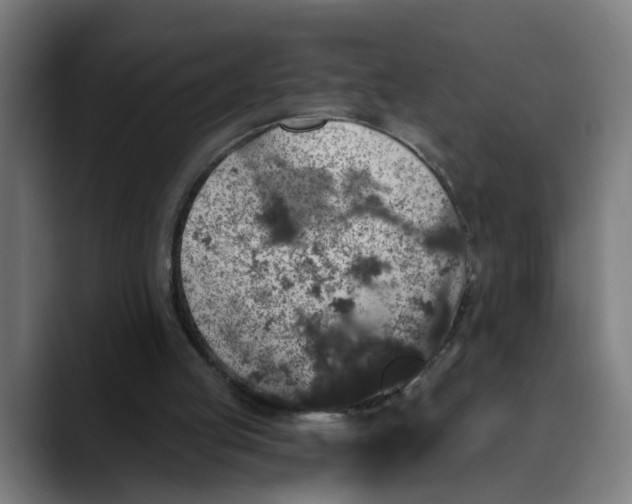 X0000089700053200707121401