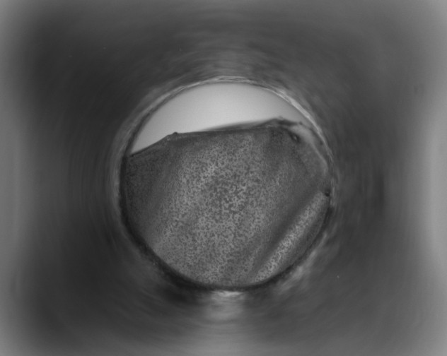 X0000089700055200707121401