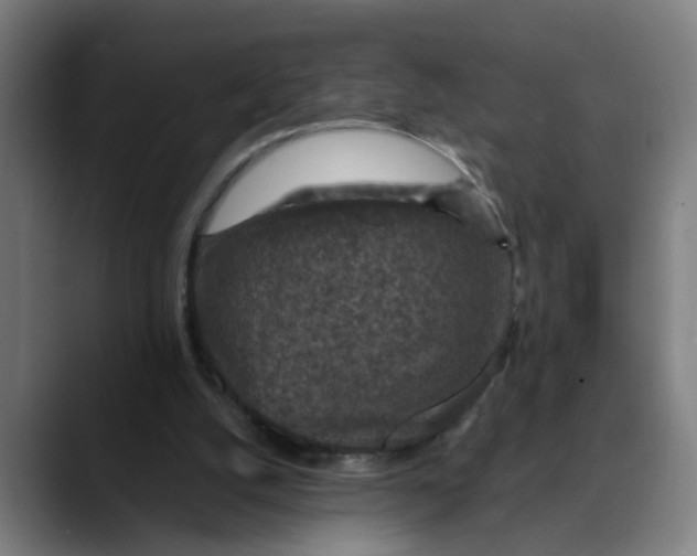 X0000089700056200707121401