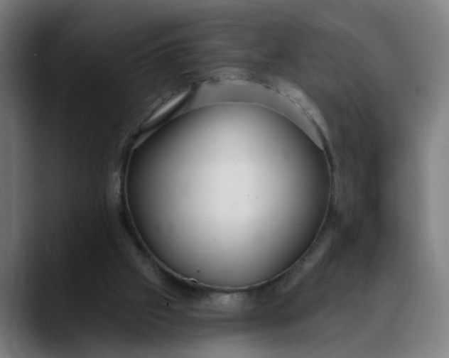 X0000089700057200707121402