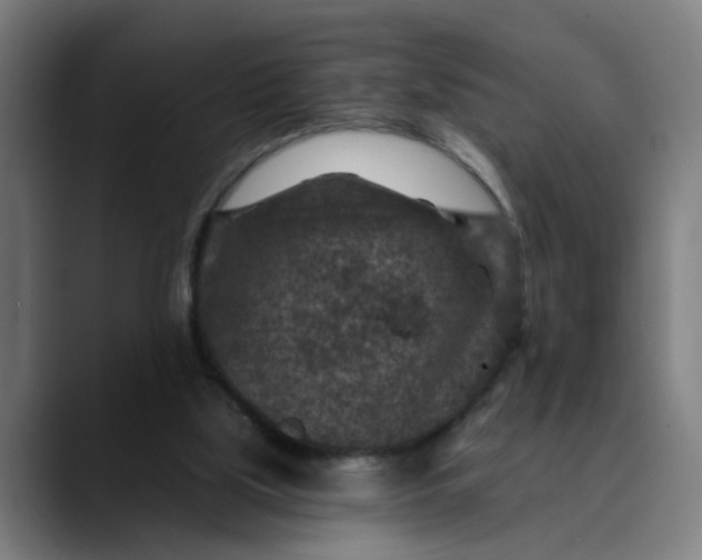 X0000089700059200707121402